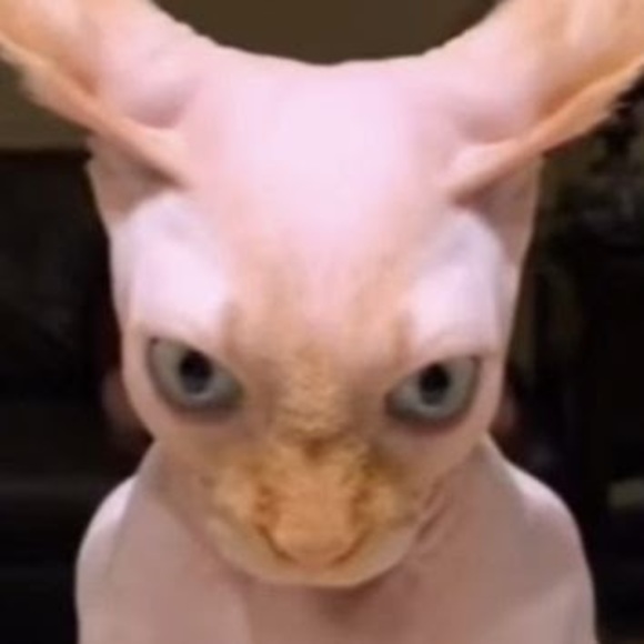 nyaayele